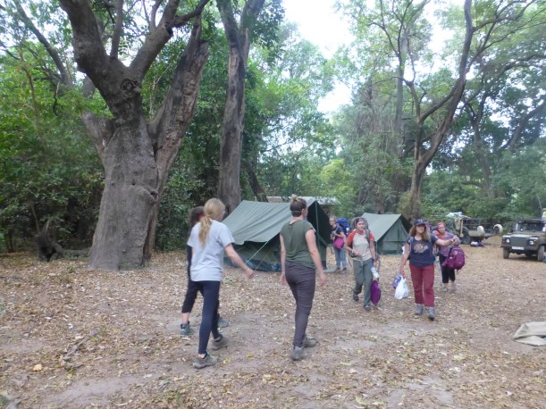 Our campsite in the woods. We had a few serval cats survey the camp in the middle of the night. I woke up to the clanging of pots and pans as they investigated the kitchen area.