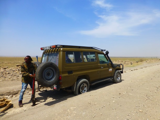 The road to Serengeti was hot, dusty and very bumpy. Not so good for the tires.