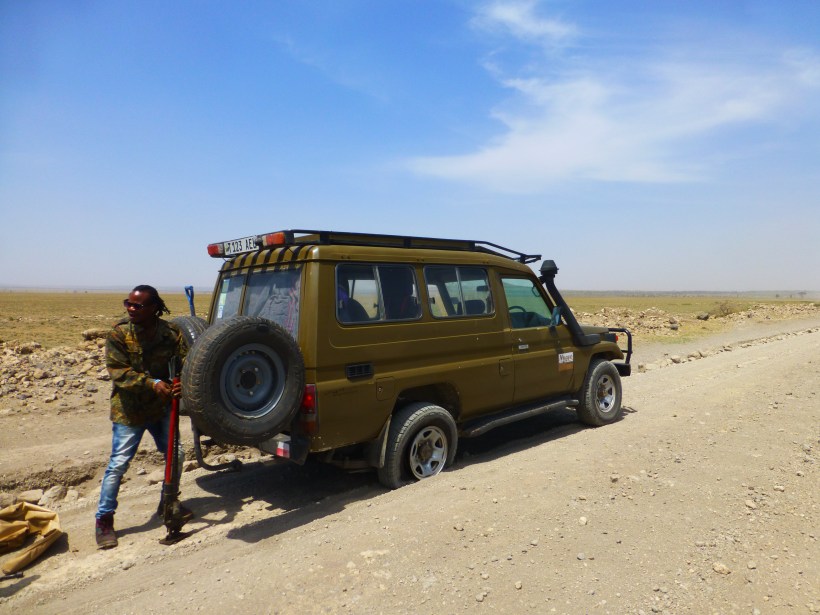 The road to Serengeti was hot, dusty and very bumpy. Not so good for the tires.