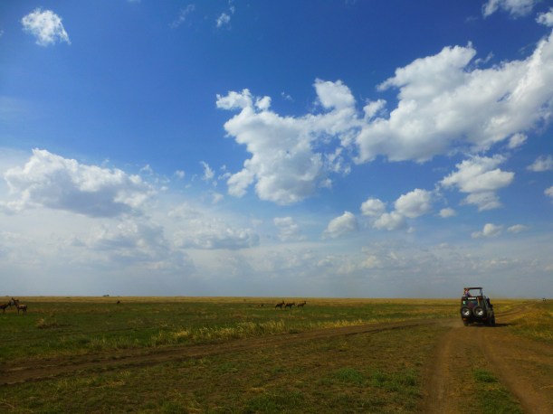 Serengeti means "endless plains" in Maa, the language of the Maasai. It is an appropriate name. We drove for hours on this beautiful endless plain.