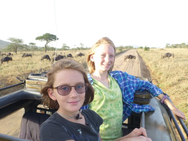 Late afternoon game drive on our last day.