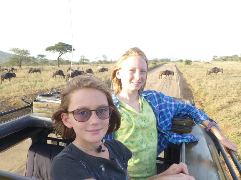 Late afternoon game drive on our last day.